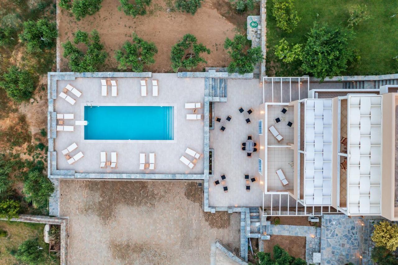 Ελαιών Apartments/Eleon Apartments Korissia  エクステリア 写真